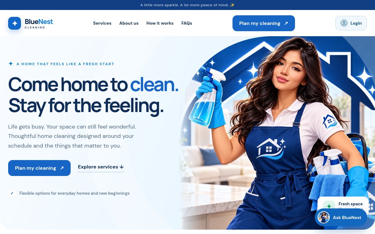 BlueNest Cleaning website and operations project